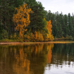 Väripaletti "Syksyisellä rannalla"